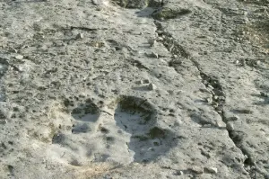 恐竜台地 – ケルキ空港–アシガバート