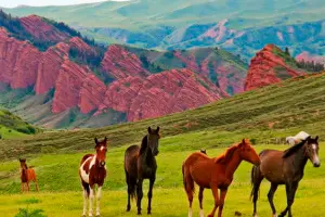 Issyk-Kul – Karakol & Jeti-Oguz Gorge
