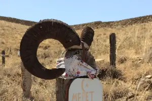Nature and Tradition: Alabay Kennel to Nokhur Village